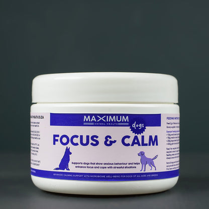 Max Focus & Calm for Dogs