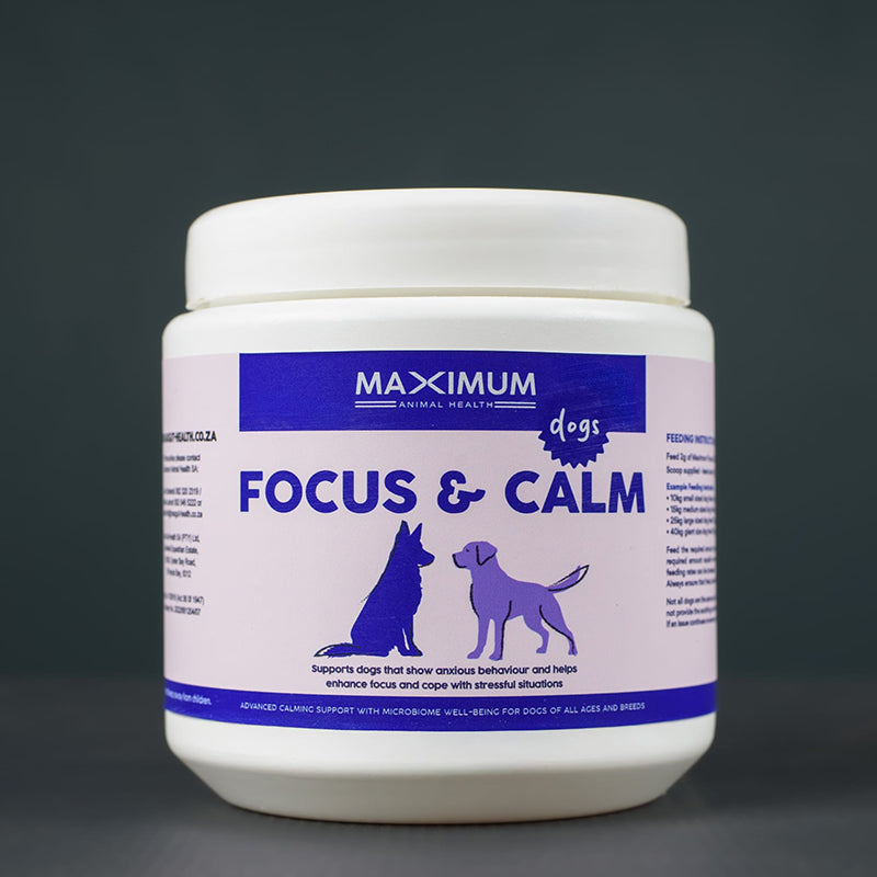 Max Focus & Calm for Dogs