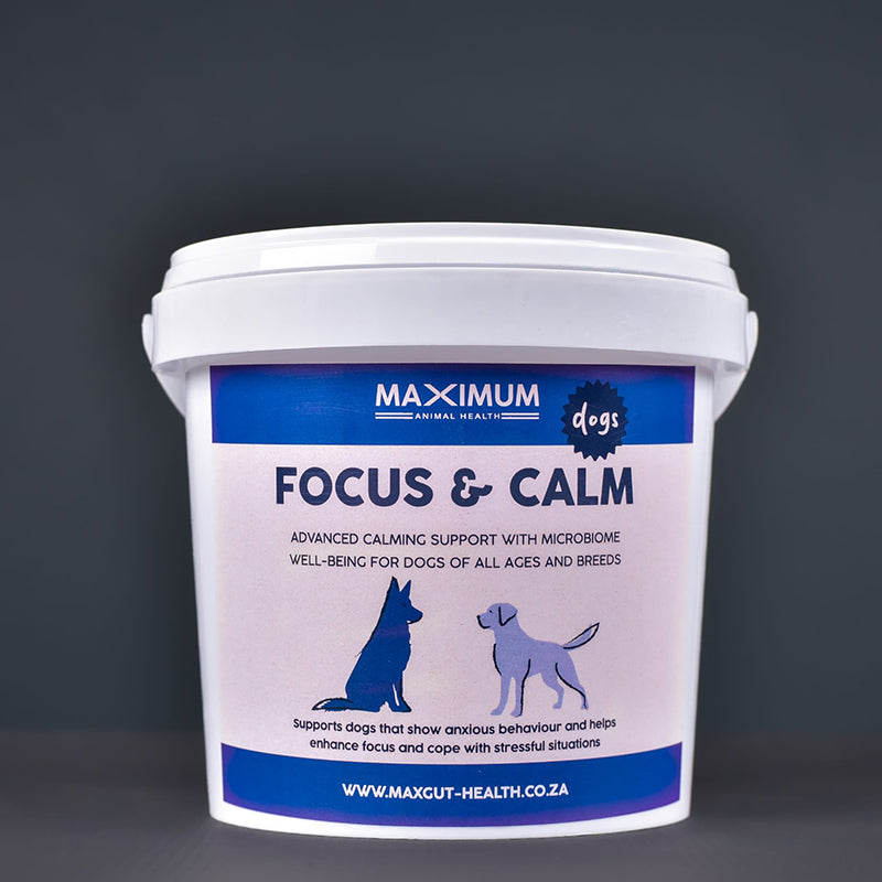 Max Focus & Calm for Dogs