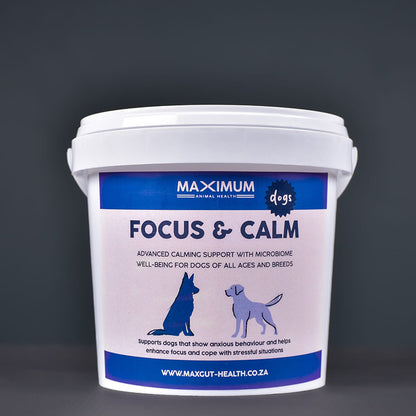 Max Focus & Calm for Dogs