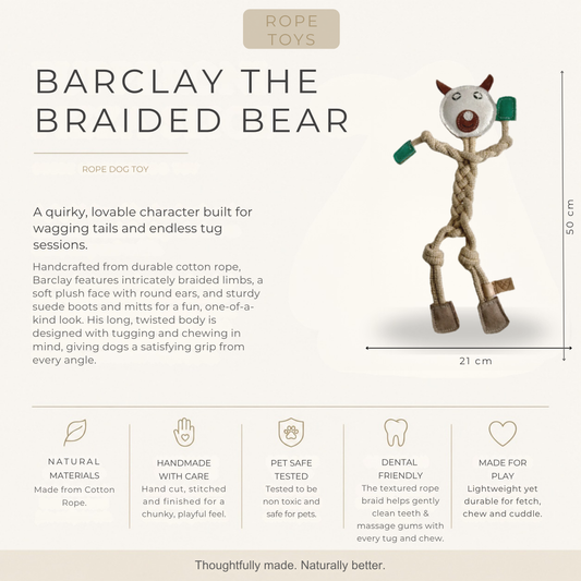 Barclay the Braided Bear