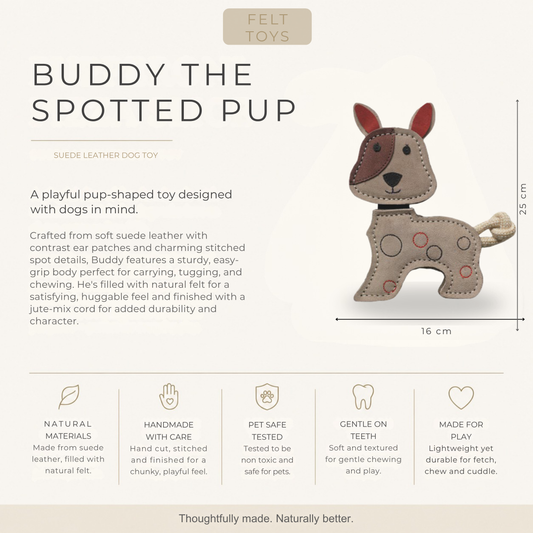 Buddy the Spotted Pup