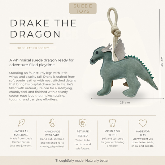 Drake the Dragon