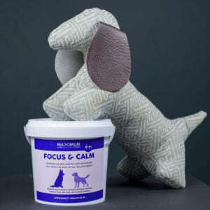 Max Focus & Calm for Dogs