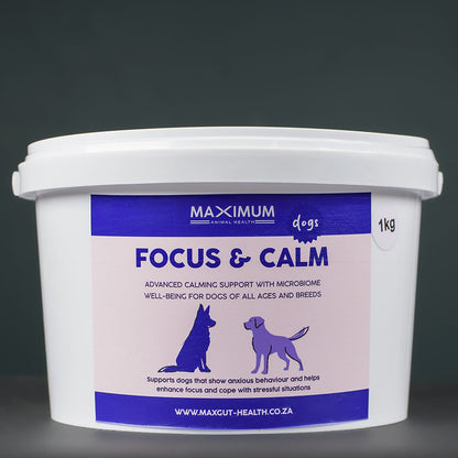 Max Focus & Calm for Dogs