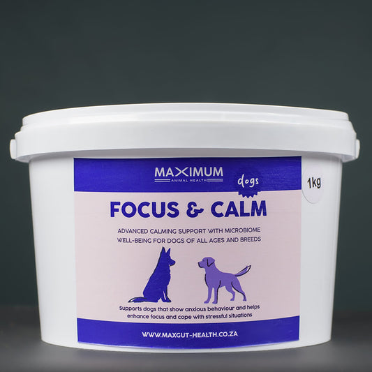 Max Focus & Calm for Dogs