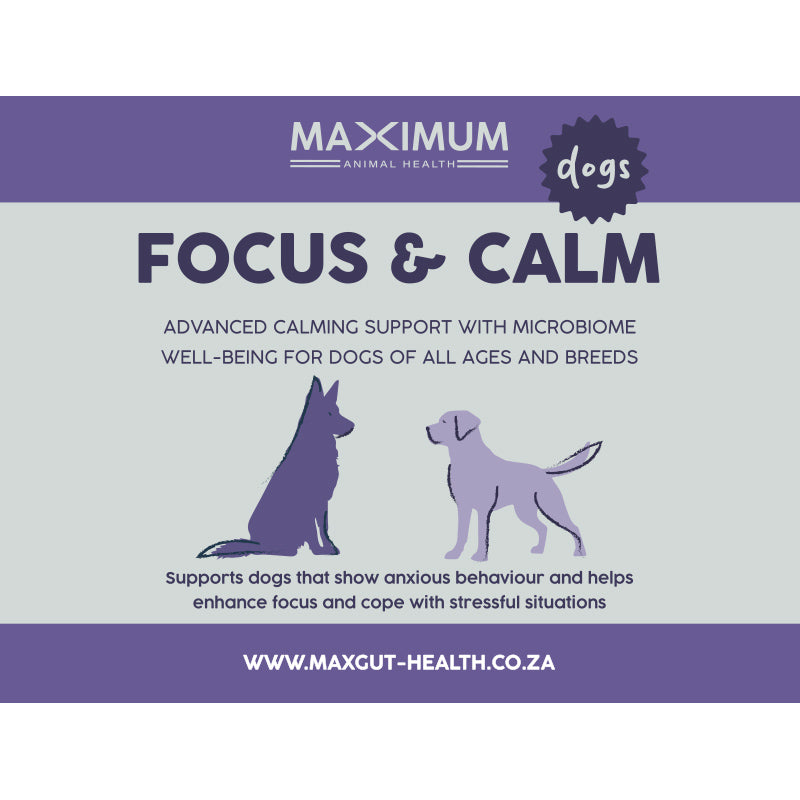 Max Focus & Calm for Dogs