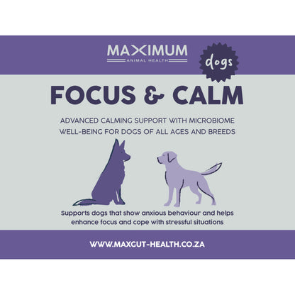 Max Focus & Calm for Dogs