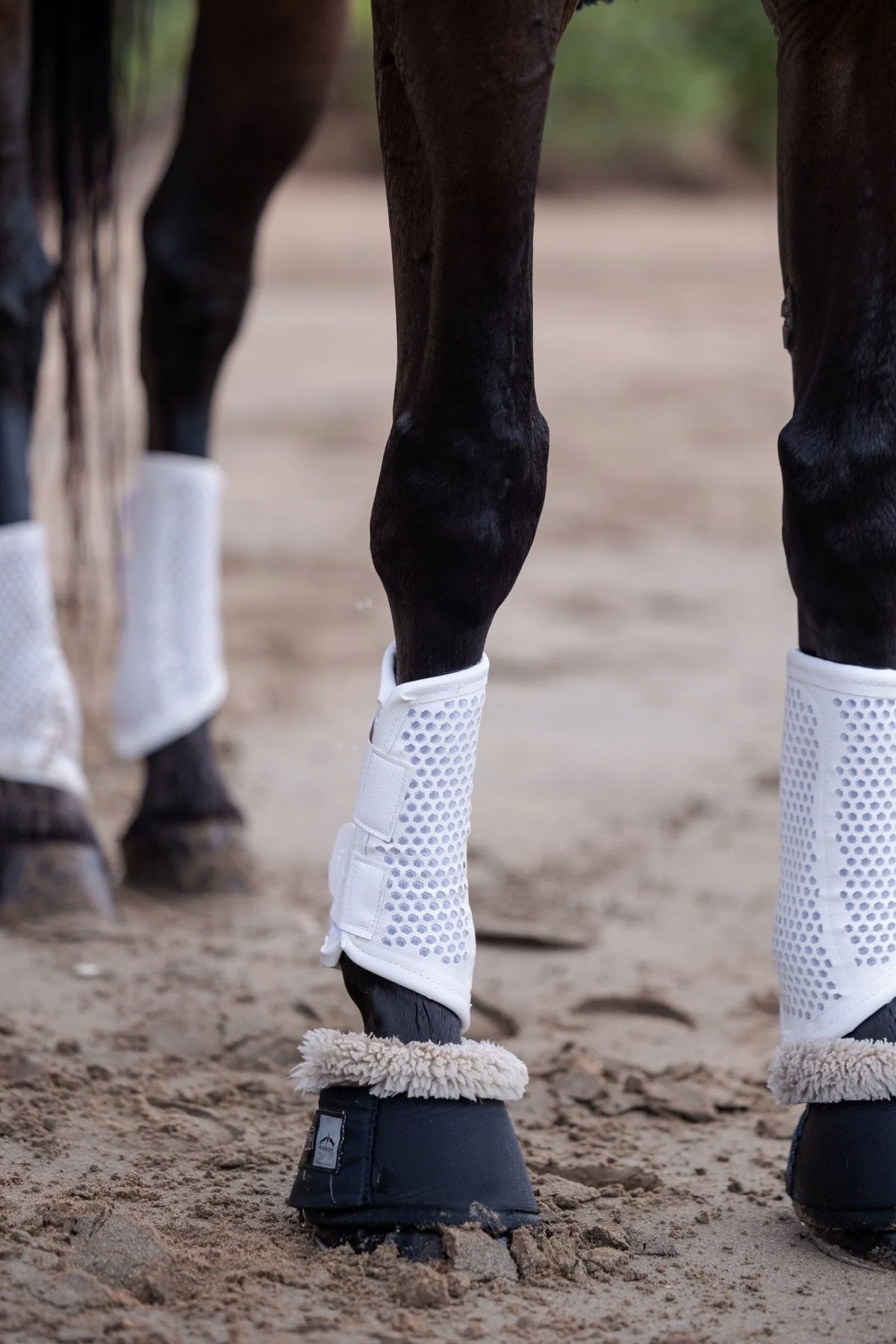 TotalCool Brushing Boots - Set of Two