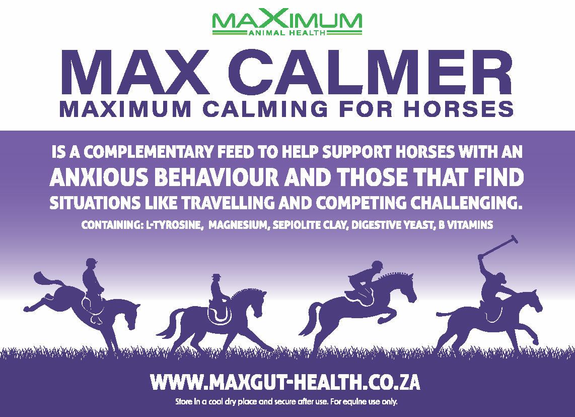 Max Calmer
