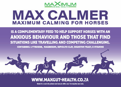 Max Calmer