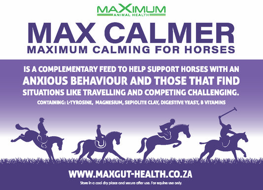 Max Calmer