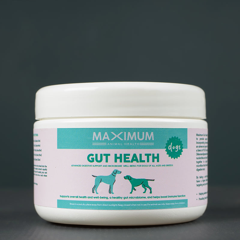 Max Gut Health for Dogs