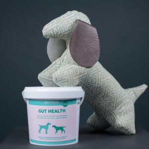 Max Gut Health for Dogs