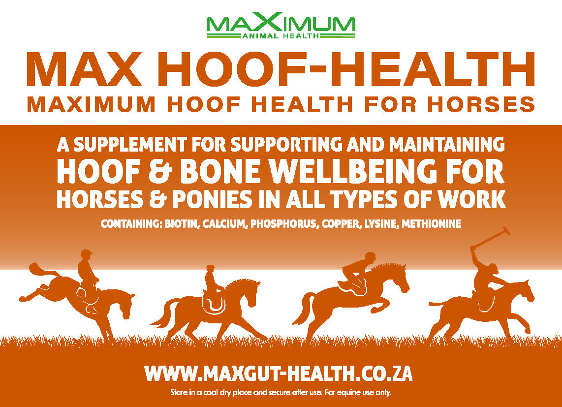 Max Hoof-Health