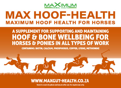 Max Hoof-Health