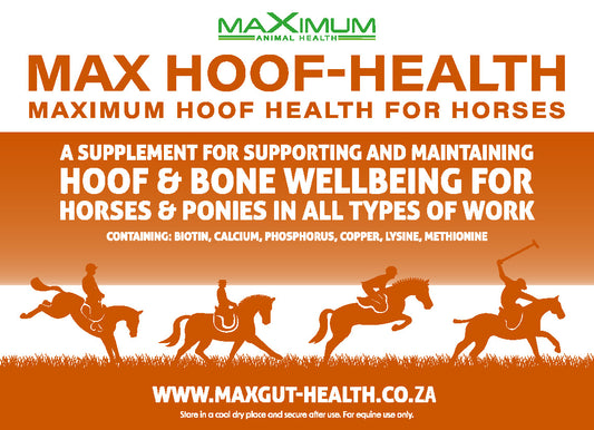 Max Hoof-Health