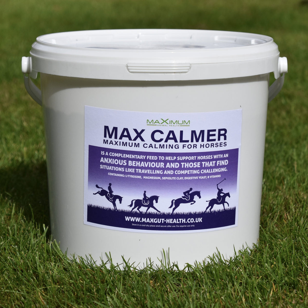 Max Calmer