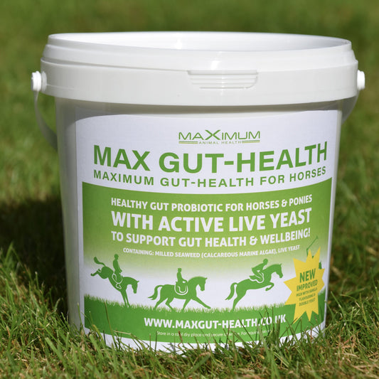Max Gut-Health
