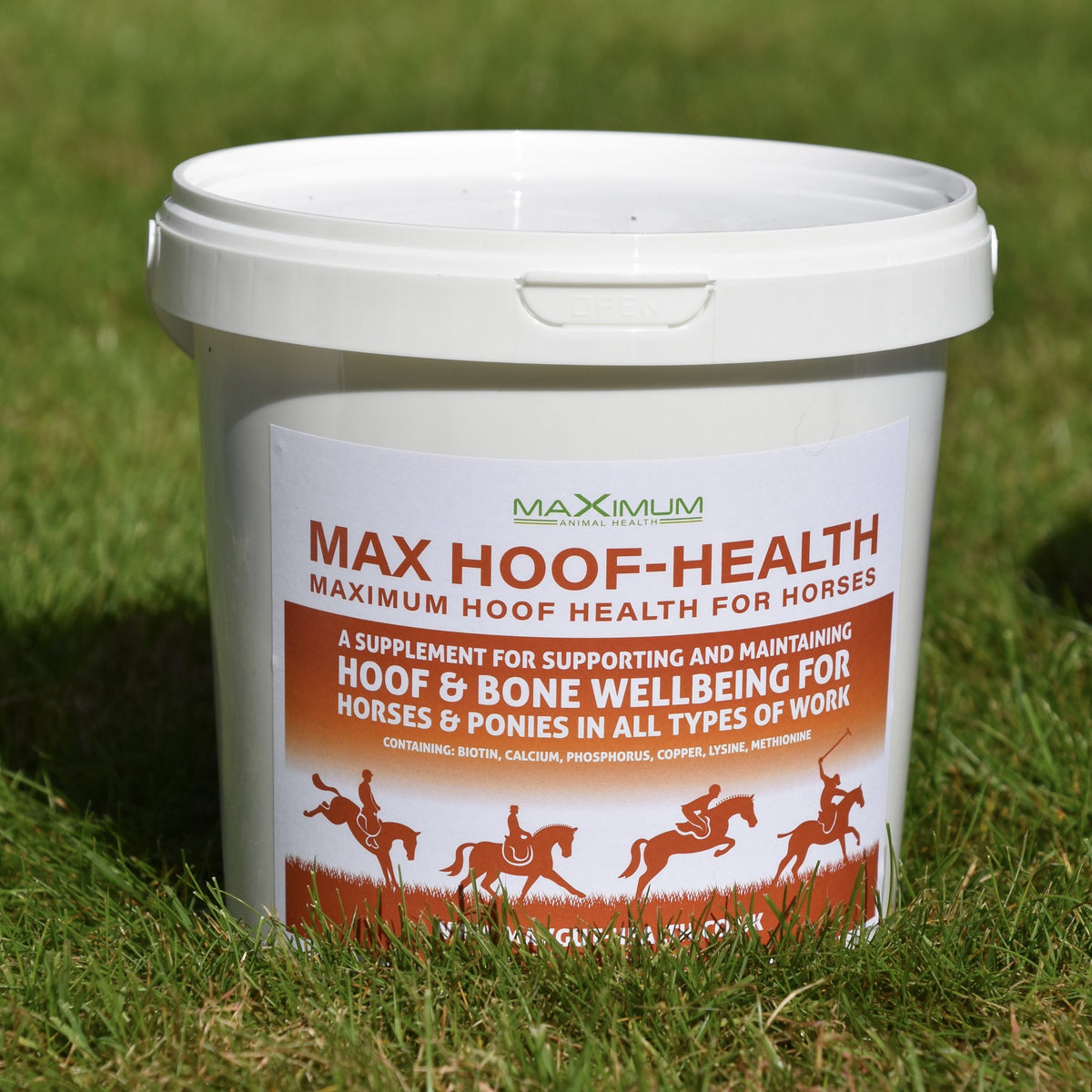 Max Hoof-Health